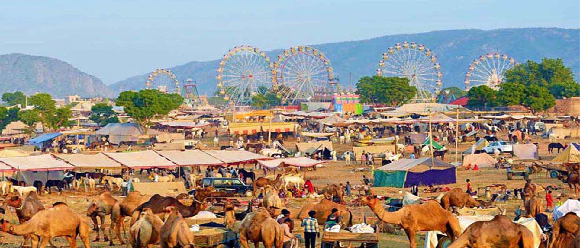 Circuit à la foire de Pushkar